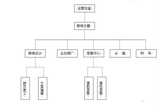 干货:史上最全最细天猫店运营计划书