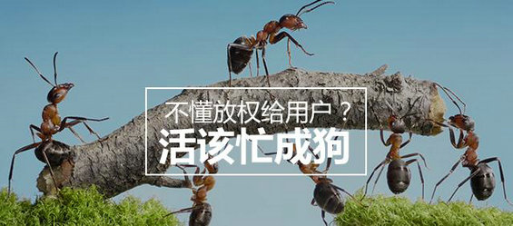 不懂放权给用户？活该忙成狗—运营秘籍教你如何四两拨千斤！