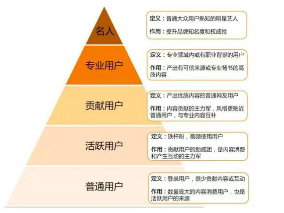 2 详细讲述猫眼电影UGC的做法，包括分析思路、运营策略和具体措施