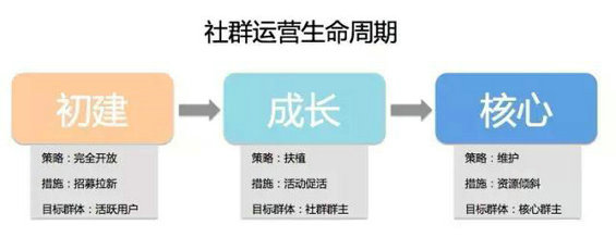 3 详细讲述猫眼电影UGC的做法，包括分析思路、运营策略和具体措施