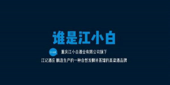 送给创新品牌的20句箴言