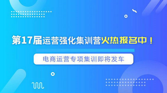 91运营网强化集训营(vip会员第17届) 早鸟票抢座ing！