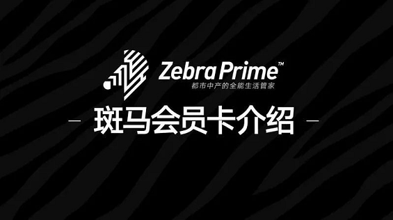 日销售额破4亿，看“斑马会员”如何运营会员