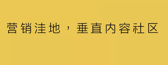 营销洼地，垂直内容社区