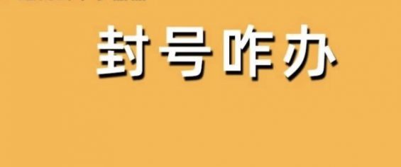 公众号被永久封号了，怎么办？在线等……急！