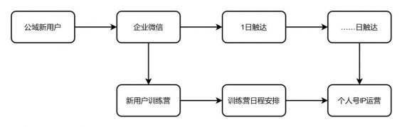  社群运营实操手册：带你从入门到寂寞