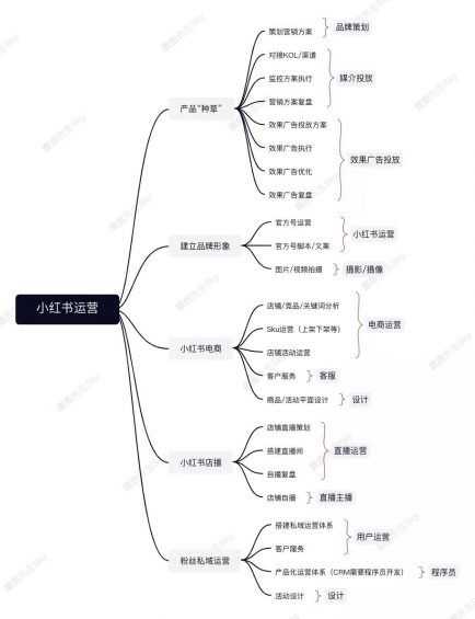 442 小红书运营团队组织架构设计方案