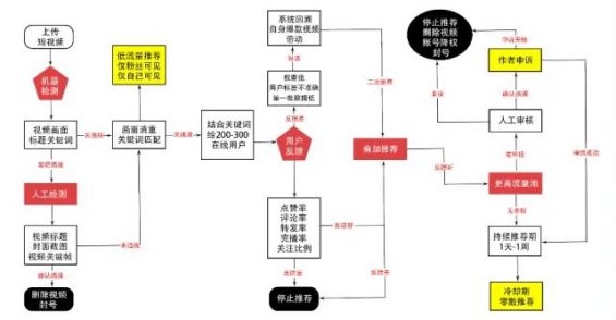 431 小红书、视频号、抖音流量算法机制，建议收藏！