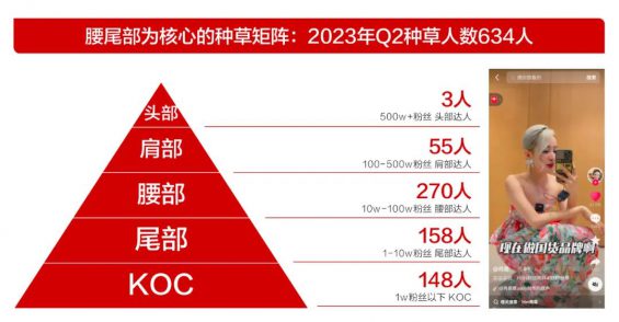 151 抖音种草的四阶打法，品牌种草/KOL种草/KOC种草/KOS种草