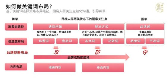 241 玩小红书必学的KFS打法策略，实现1+1>2的投放效果