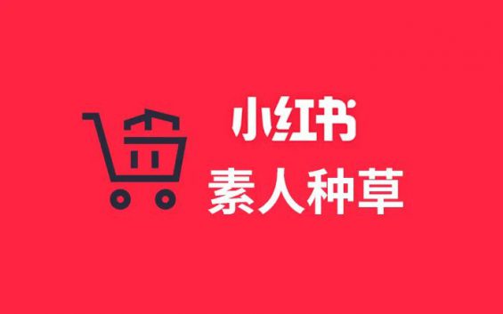 讲透小红书素人种草,半年近9000条笔记的有效验证 112 讲透小红书素人种草,半年近9000条笔记的有效验证