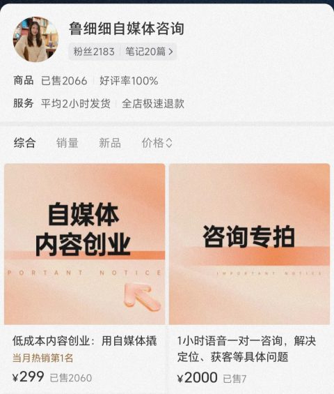 522 0成本启动！在小红书卖虚拟资料赚翻了！
