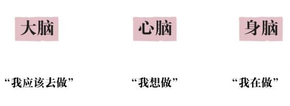 771 新个体的第一套内容获客系统