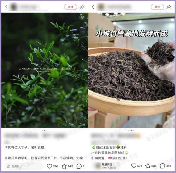 滋补号冷门玩法,偷偷赚了480万 291 滋补号冷门玩法,偷偷赚了480万