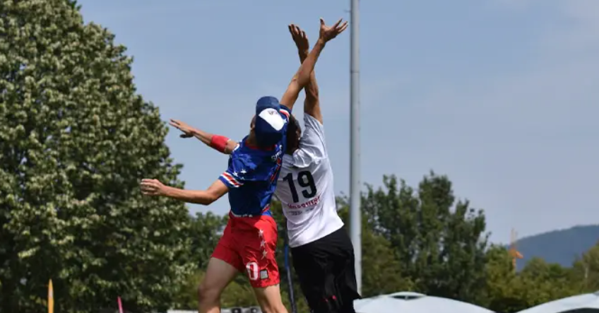 场景组合决定市场组合