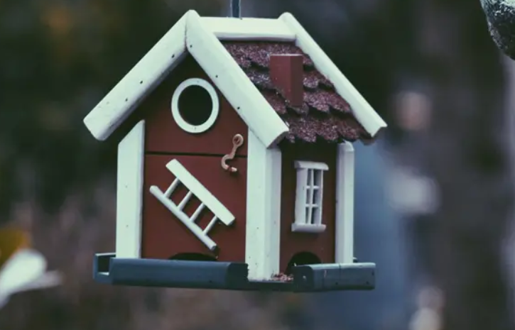 要想0到1跑通公转私？先搞懂抖音、视频号和小红书，3大平台获客逻辑